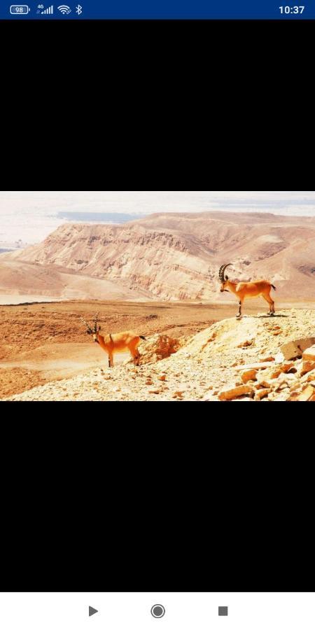 אלת המדברgoddess Of The Desert Be'er Ora Zewnętrze zdjęcie